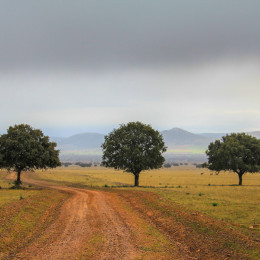 cabaneros1