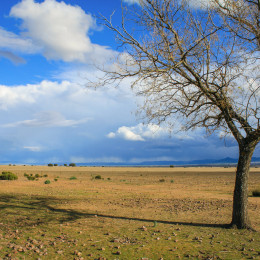 cabaneros9