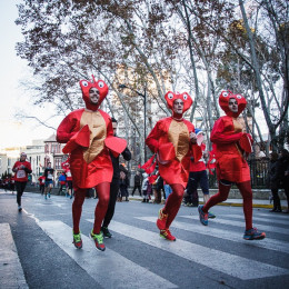 San Silvestre de Albacete 2014 - David Cantos
