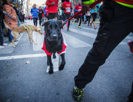 San Silvestre de Albacete 2014 - David Cantos