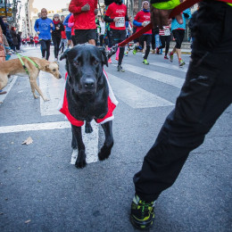 San Silvestre de Albacete 2014 - David Cantos