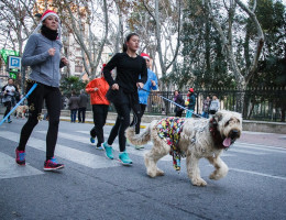 San Silvestre de Albacete 2014 - David Cantos
