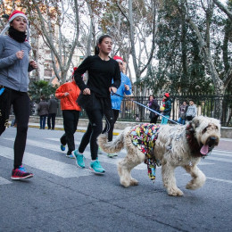 San Silvestre de Albacete 2014 - David Cantos